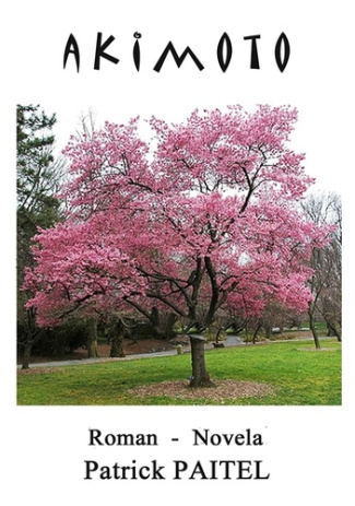 Akimoto. Edition bilingue français-espagnol