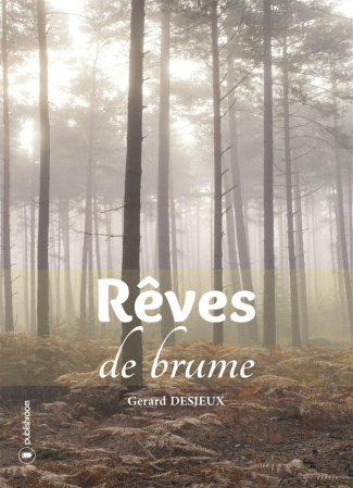 Reves de brume