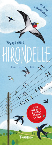 Voyage d'une hirondelle