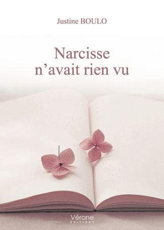 Narcisse n'avait rien vu
