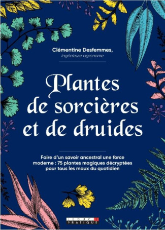 Plantes de sorcières