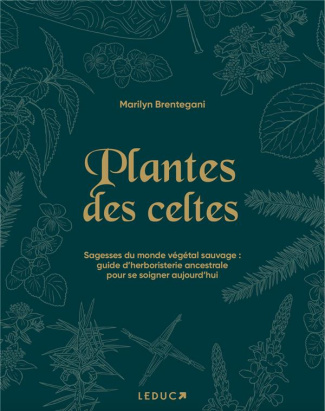 Plantes des Celtes. Sagesses du monde végétal sauvage : guide d'herboristerie ancestrale pour se soi