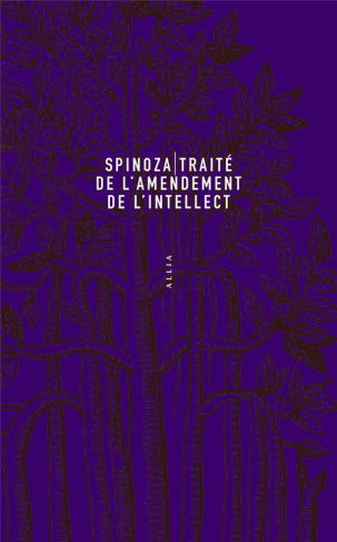 Traite de l'amendement de l'intellect