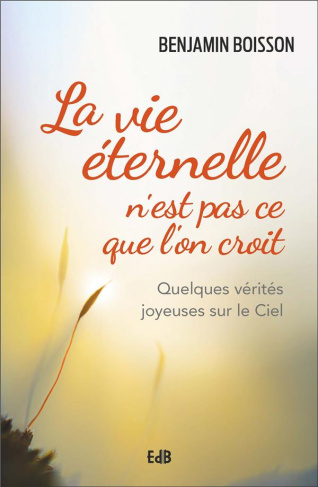 La vie éternelle n'est pas ce que l'on croit. Quelques vérités joyeuses sur le Ciel
