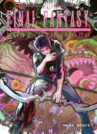 Final Fantasy Lost Stranger Tome 11