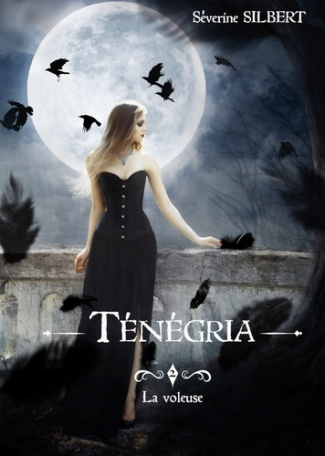 Ténégria Tome 2 : La voleuse