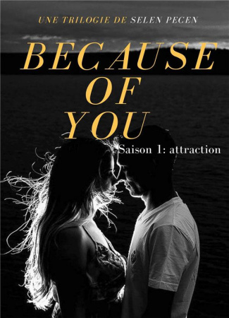 Because of you Tome 1 : Attraction