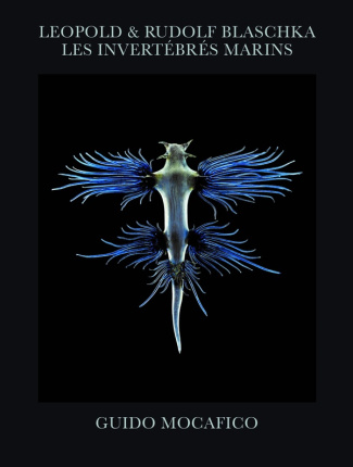 Leopold & Rudolf Blaschka. Les invértébrés marins, Edition numérotée