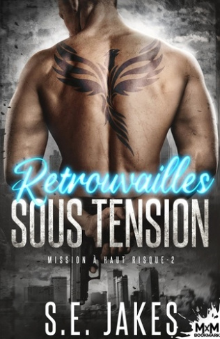 Mission à haut risque Tome 2 : Retrouvailles sous tension