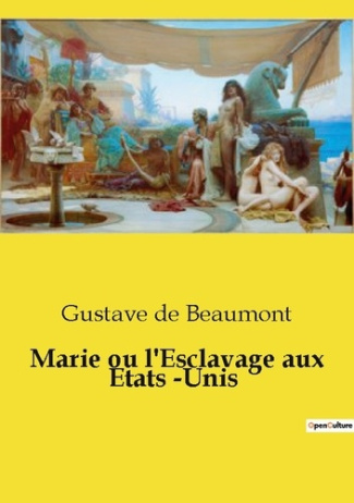 Marie ou l'Esclavage aux Etats Unis. Une exploration des contrastes sociaux et raciaux dans l'Améri