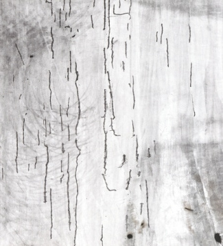 Marges. Edition bilingue français-anglais