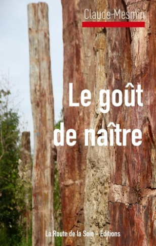 Le goût à naître. Le désir d'enfant des femmes issues de l'immigration