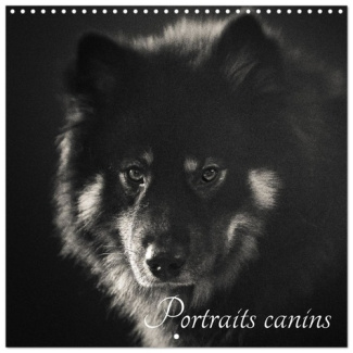 ART_STUDIO_CELINE-PORTRAITS_CANINS_CALENDRIER_MURAL_CARRE_-_12_RACES_DE_CHIENS_REPRESENTEE-9783516590104_0