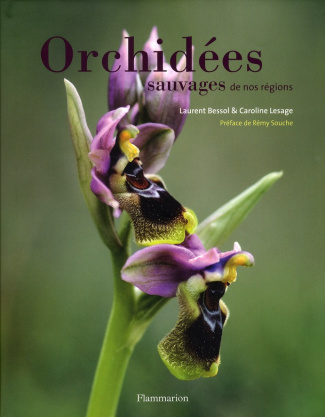 Bessol_Laurent_Lesage_Caroline-Orchid_es_sauvages_de_nos_r_gions-9782081253353_0