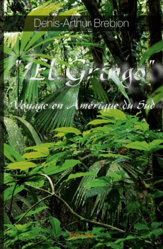 Brebion_Denis-Arthur-_El_Gringo_._Voyage_en_Am_rique_du_Sud-9782332987334_0