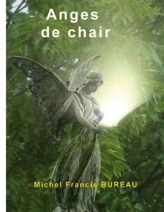 Bureau_Michel_Francis-Anges_de_chair-9782322597802_0