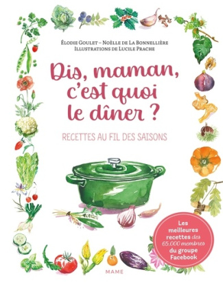 De_La_bonneli_re_no_lle_Goulet_Elodie_Prache_L-Dis_Maman_c_est_quoi_le_d_ner_recettes_au_fil_des_saisons-9782728936359_0