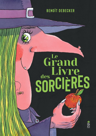 Debecker_Beno_t-Le_grand_livre_des_sorci_res-9782378013400_0