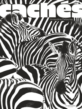Delaunay_Amandine-Cach_s-9791040118817_0