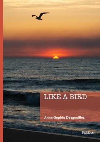 Desgouilles_Anne-Sophie-Like_a_bird-9782414821587_0