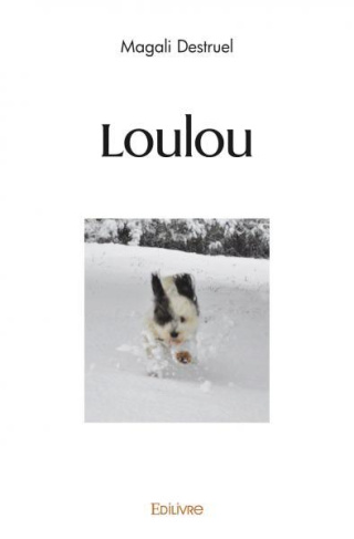 Destruel_Magali-Loulou-9782414524877_0