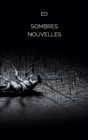 Ed-Sombres_nouvelles-9782322574216_0