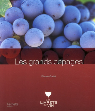 Galet_Pierre-Les_grands_c_pages-9782012376861_0