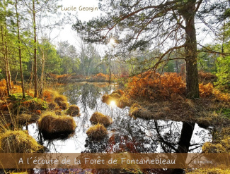 Georgin_Lucile-A_l_coute_de_la_for_t_de_Fontainebleau-9782378571689_0