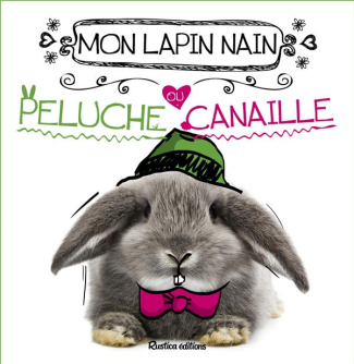 Germain_Marie-Sophie-Mon_lapin_nain_peluche_ou_canaille_-9782815305495_0