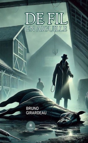 Girardeau_Bruno-De_fil_en_aiguille-9791042262402_0
