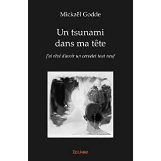 Godde_Micka_l_Cassereau_Julien-Un_tsunami_dans_ma_t_te._J_ai_r_v_d_avoir_un_cervelet_tout_neuf-9782414254040_0