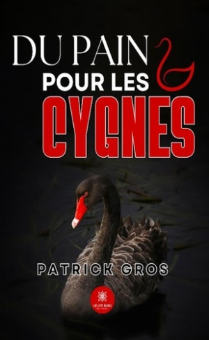 Gros_Patrick-Du_pain_pour_les_cygnes-9791042243173_0