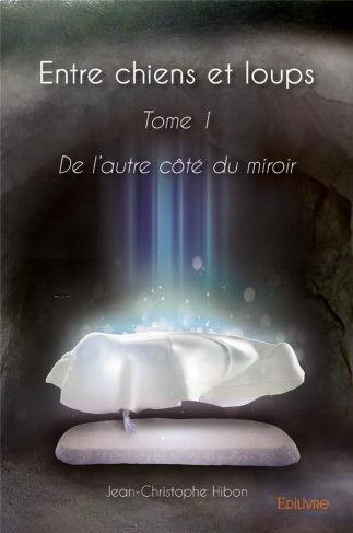 Hibon_Jean-christophe-De_l_autre_c_t_du_miroir_-_Tome_1._De_l_autre_c_t_du_miroir-9782414299515_0