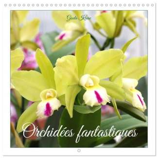 KRUSE_GISELA-ORCHIDEES_FANTASTIQUES_CALENDRIER_MURAL_-_UNE_GALERIE_DE_SUPERBES_FLEURS-9783516589733_0