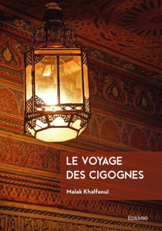 Khalfaoui_Malak-Le_voyage_des_cigognes-9782414640683_0