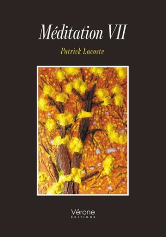 Lacoste_Patrick-M_ditation_VII-9791042312893_0