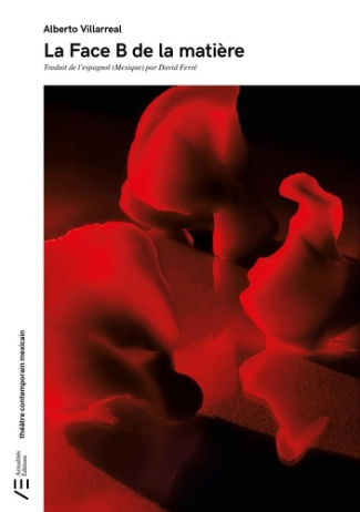 Lara_Itzel_Ferr_David-Je_ne_me_souviens_toujours_pas_de_son_visage-9791094225257_0