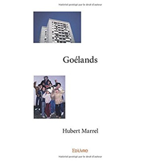 Marrel_Hubert-Go_lands-9782414209033_0