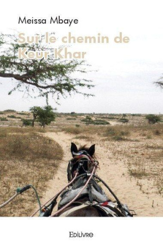Mbaye_Meissa-Sur_le_chemin_de_keur_khar-9782414384945_0