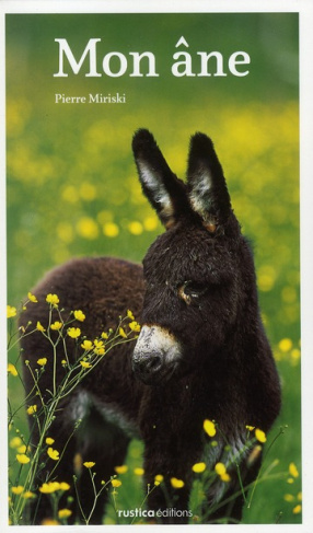 Miriski_Pierre-Mon_ne-9782840389620_0