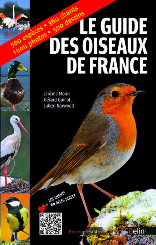Morin_J_r_me_Guillot_G_rard_Norwood_Julien-Le_guide_des_oiseaux_de_France-9782701165059_0