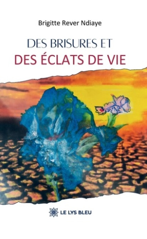 Ndiaye_Brigitte_rever-Des_brisures_et_des_clats_de_vie-9791043700644_0