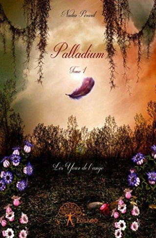 P_rard_Nadia-Palladium_-_Tome_1._Les_Yeux_de_l_ange-9782332936356_0