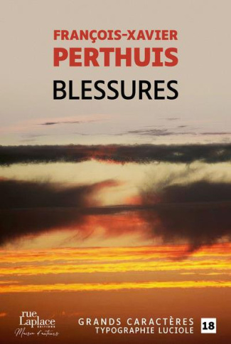 Perthuis_Fran_ois-Xavier_Golse_Bernard-Blessures_EDITION_EN_GROS_CARACTERES-9782492714856_0