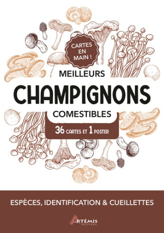 Polese_Jean-Marie-Meilleurs_champignons_comestibles-9782816024968_0