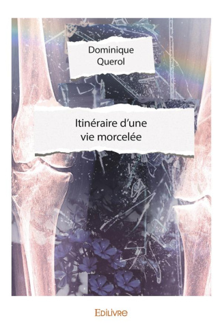 Querol_Dominique-Itin_raire_d_une_vie_morcel_e-9782414492855_0