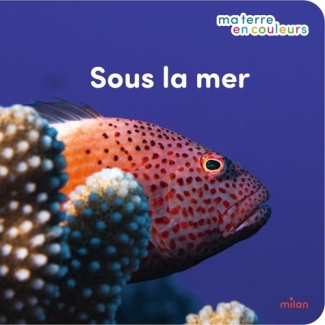 Redoul_s_St_phanie_Gazzola_Franck-Sous_la_mer-9782408057831_0