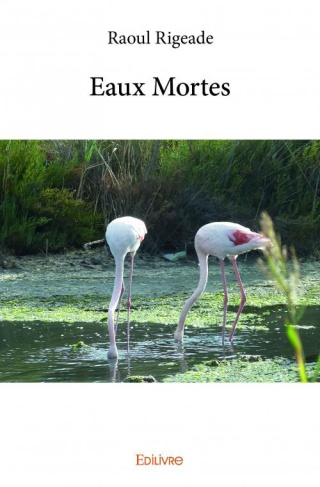 Rigeade_Raoul-Eaux_mortes-9782334120807_0