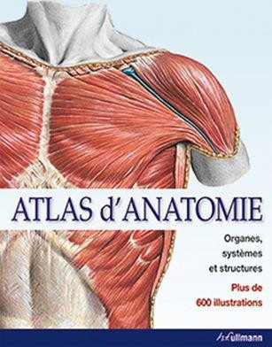 Sobotta_Johannes-Atlas_d_anatomie_organes_syst_mes_et_structures_Organes_syst_mes_et_structures-9783848007660_0