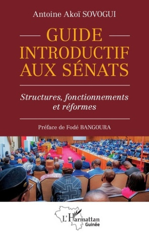 Sovogui_Antoine_ako_Bangoura_Fod_-Guide_introductif_aux_S_nats._Structures_fonctionnements_et_r_formes-9782336652726_0